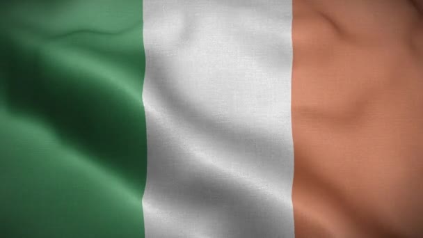 Irlands Flagga Loop — Stockvideo