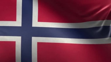 Norveç Bayrağı 3D Döngü