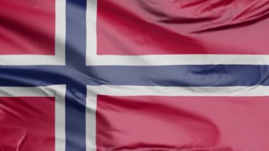 Norveç Gerçekçi 3D Bayrağı