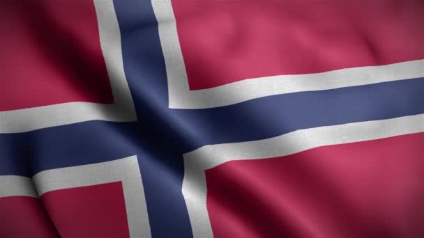 Flagge Norwegens Schleife — Stockvideo