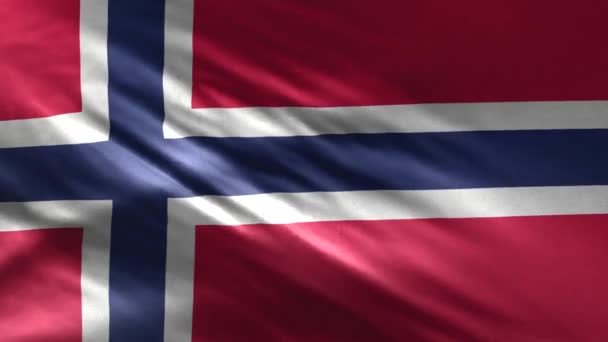 Flagge Norwegens Schleife — Stockvideo