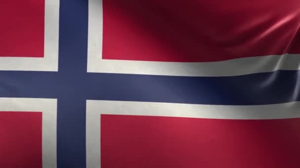 Vlag Van Noorwegen Loop — Stockvideo