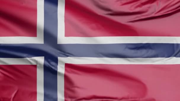 Bandera Noruega Realista — Vídeo de stock