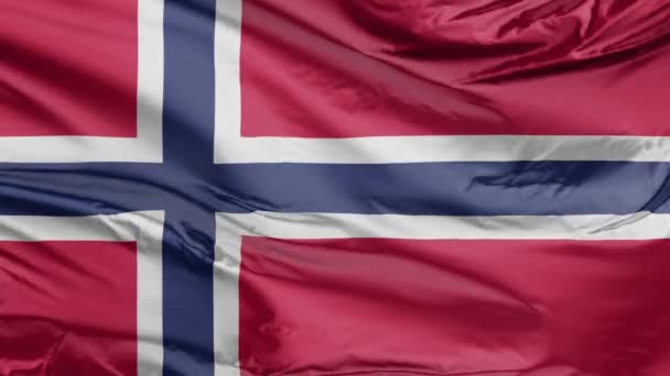 Flagge Norwegens Realistisches — Stockvideo