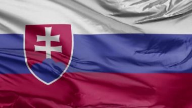Slovakya Gerçekçi 3D Bayrağı