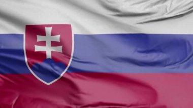 Slovakya Gerçekçi 3D Bayrağı