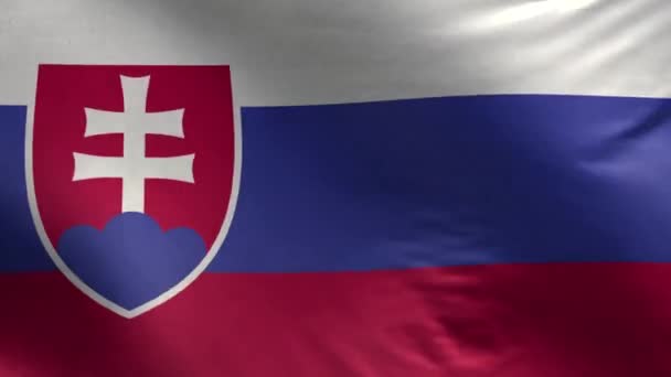 Slovakya Bayrağı Boyutlu Döngü — Stok video