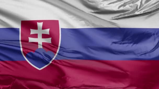 斯洛伐克国旗现实3D — 图库视频影像