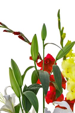 Lily tomurcukları ve Glayöl çiçek