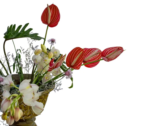 Geïsoleerde boeket van bloemen van de anthurium — Stockfoto