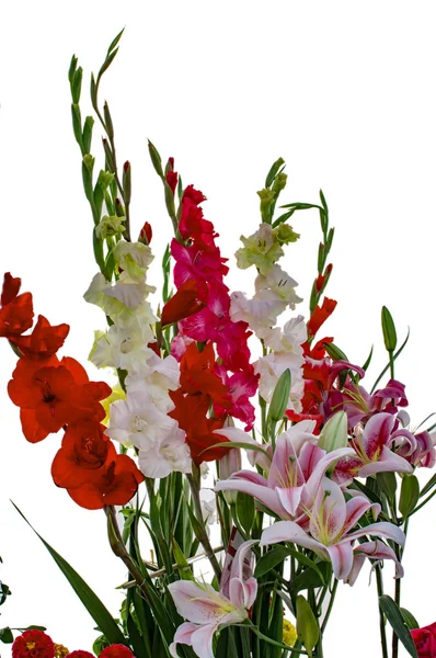 Bouquet of gladiolus and lily flowers — Stock Photo, Image