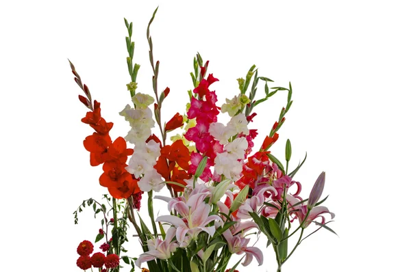 Gladiolas vermelhas amarelas brancas cor-de-rosa e flores de lírio — Fotografia de Stock