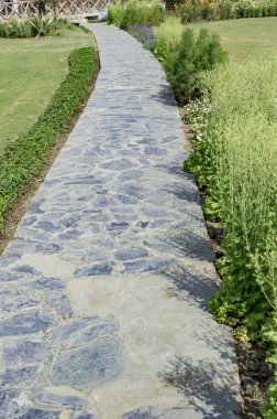 Yol ve yeşil bitkiler