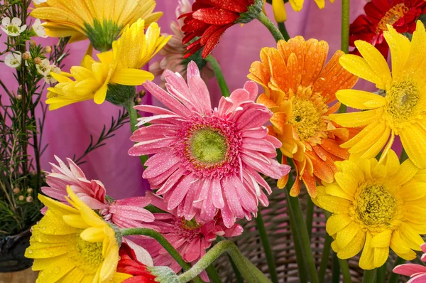 Palos de gerberas y flores mixtas —  Fotos de Stock