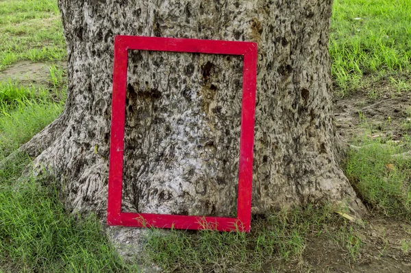 Arbre et cadre rouge avec herbe — Photo