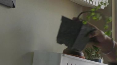 Eğer beyaz renkliyse, bitkileri duvarlara koyuyorlar.