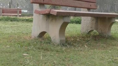 Parktaki bankın üzerinde çimenler var.