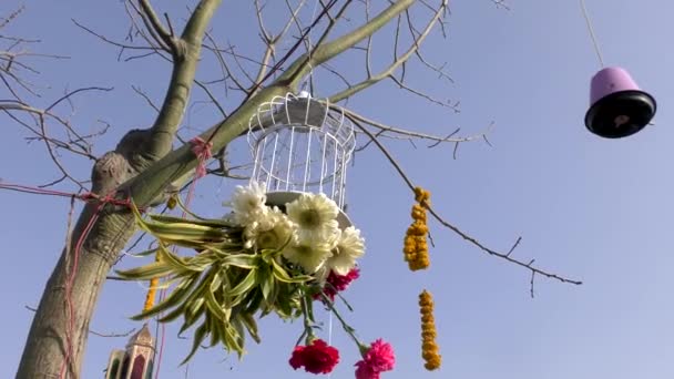 Un panier décoré de fleurs suspendu à la branche d'un arbre