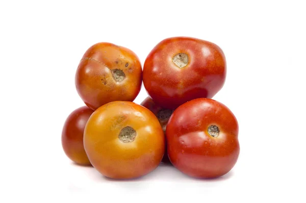 Купа червоних помідорів — стокове фото
