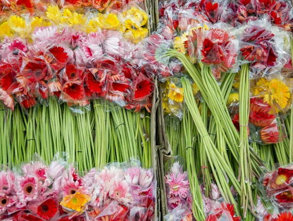 Fiori a fusto lungo avvolti — Foto Stock