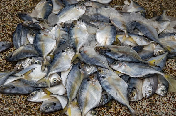 Heap of fish — Stock Photo, Image