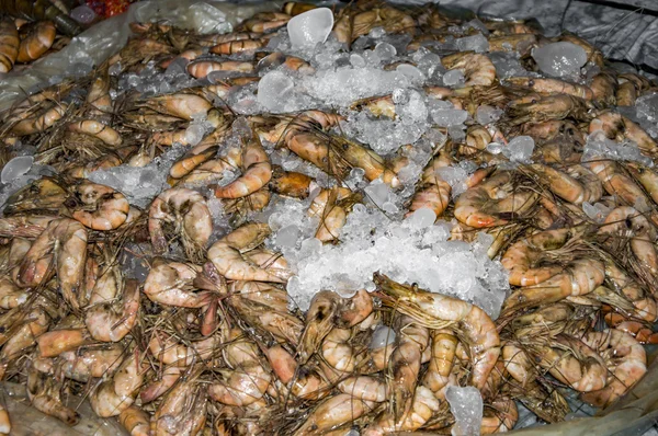 Garnalen van de zee bevroren met ijs — Stockfoto