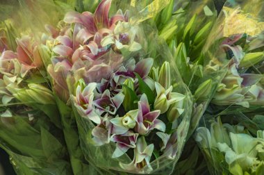 Sarılı hazır lily buketleri