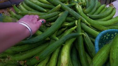Açı kabak, kabak kabağı ya da markette satışta olan Çin bamyası. Alışveriş için seçilen biri. Sahne taze sebze seçimini yansıtıyor..
