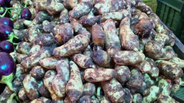 Çiğ arbi, taro kökü olarak da bilinir, bir dükkanda satışta sergilenmektedir, taze sebzeler sergilenmektedir..