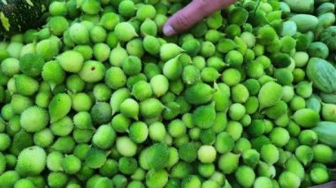 Dükkanda bir yığın Kakode, dikenli su kabağı, çay kabağı ya da satılık ormanın acı sukabakları bulunur..