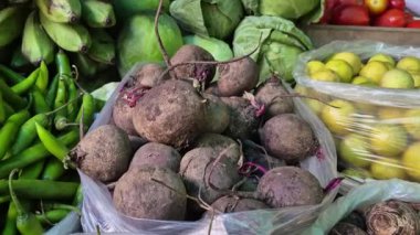 Ham şeklinde pancar kökleri bir yığın halinde satılığa çıkarılır, koyu mor-kırmızı gölge ve toprak dokusunu gösterir..