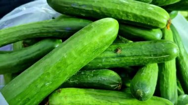 Dar bir pazar yakın çekim taze toplanmış yeşil salatalık yığını pürüzsüz, sert yüzeyleri ve yumuşak ortam ışığı ile doğal parlaklığı vurguluyor.