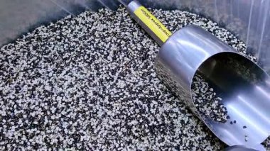 Yakından bakıldığında, yoğun bir şekilde paketlenmiş siyah-beyaz Urad Daal ile dolu bir kabın içinde duran metal bir tahıl kepçesinin sarı etiketli sapıyla ışık altında bile benekli dokunun karşıtlığını gösterir..