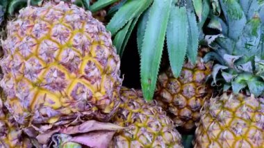 Bir market tezgahında üst üste yığılmış olgun ananaslar, altın desenli deri, sivri yeşil taç ve doğal ışık altında taze tropikal ürünleri gösteriyor..