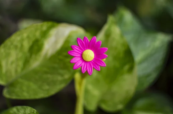 Пластиковый цветок на зеленом фоне — стоковое фото