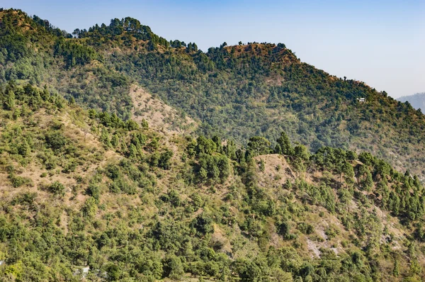 Picos de montañas con cubierta verde —  Fotos de Stock