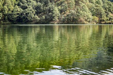 Göl boyunca yeşil ağaçlar