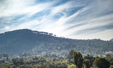 Ağaçlar dağda artan