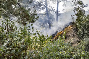 Orman yangını ile yanan dağlar.