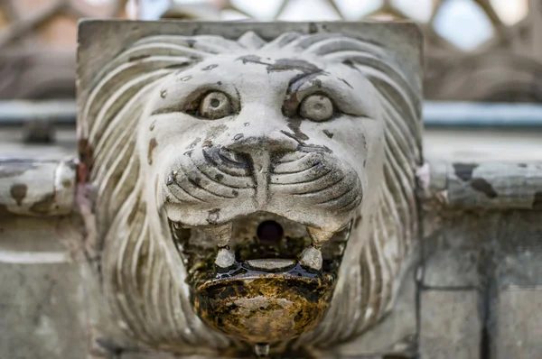 Stone head of lion for water — Stock Photo, Image