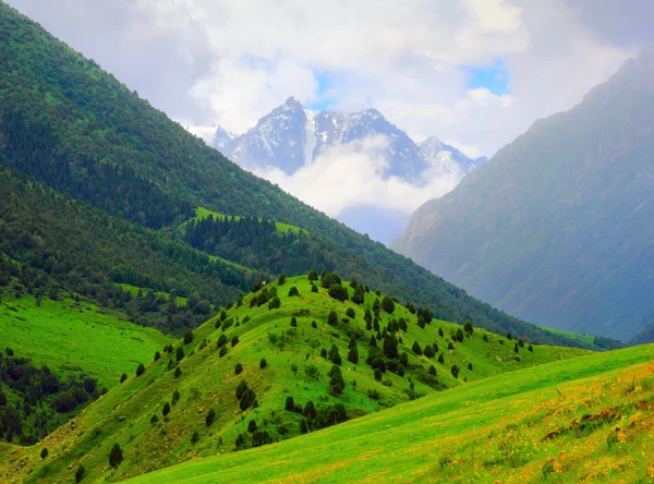 Ала-арка природний парк, Тянь-Шань, Киргизстан — стокове фото