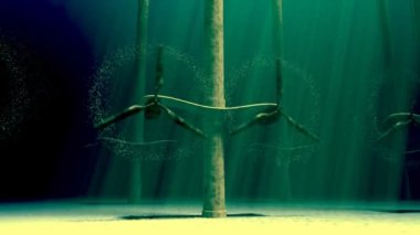 Sualtı gelgit türbinleri