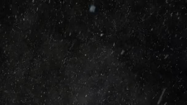 Sneeuw deeltjes tijdens blizzard. — Stockvideo