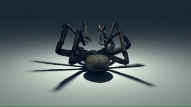 ölmek üzere olan örümcek bacakları hareket