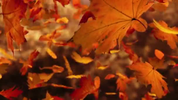 Fallende Herbstblätter