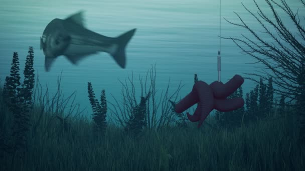 Su altında kanca üzerinde hileli canlı yem ile Balık — Stok video