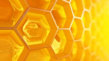 parlak güneş ışığı altında tam hücrelerle petek