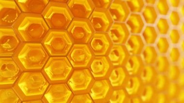 parlak güneş ışığı altında tam hücrelerle petek