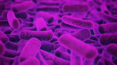 Etrafında yüzen mikrop virüs molekül bakteri hücre