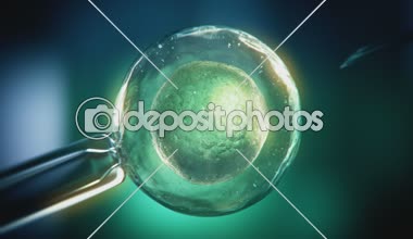 In vitro fertilizasyon simülasyonu.